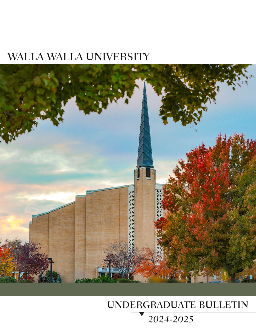 colorful picture of the university church with trees